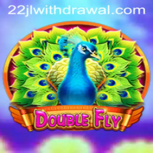 DoubleFly: A Thrilling Adventure with 22jl